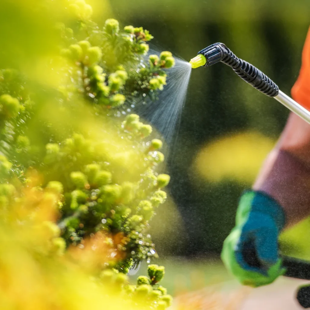 tree shrub fertilization by