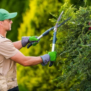 treetroopers of Tree Triming Pruning
